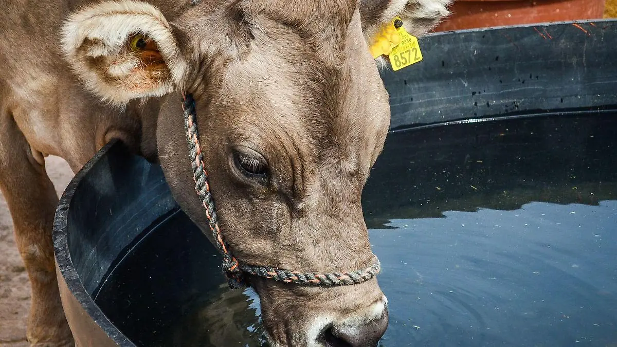 ¡SÍ, QUE SE LARGUE! (1)